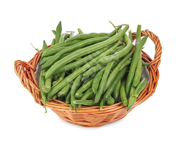 الفاصوليا الخضراء الفاصوليا الخضراء