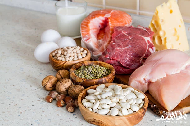أطعمة غنية بالبروتين أطعمة غنية بالبروتين