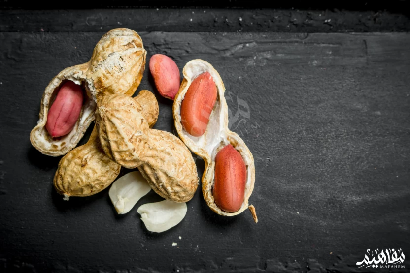 الفول السوداني الفول السوداني