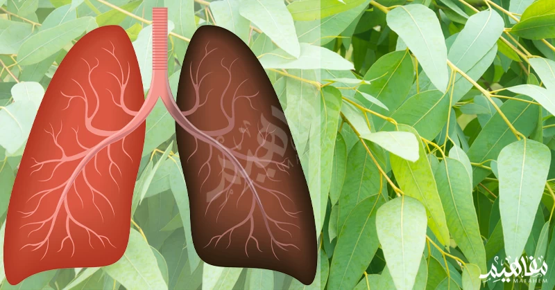 تنطيف الرئة تنطيف الرئة
