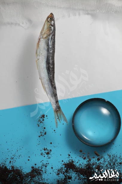 مخاطر السمك مخاطر السمك