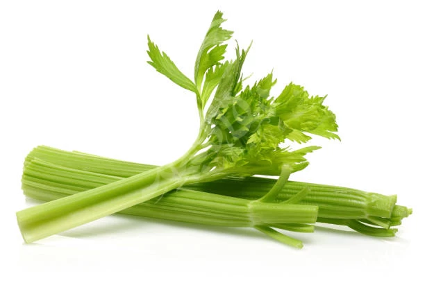 الكرفس الكرفس