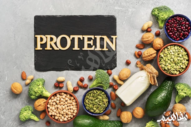 Protein benefits Protein benefits