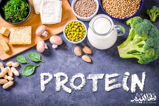 Protein benefits Protein benefits