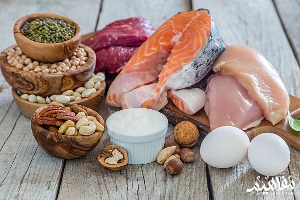 Protein benefits Protein benefits