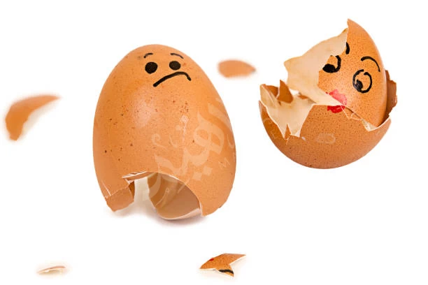 EGGSHELL EGGSHELL