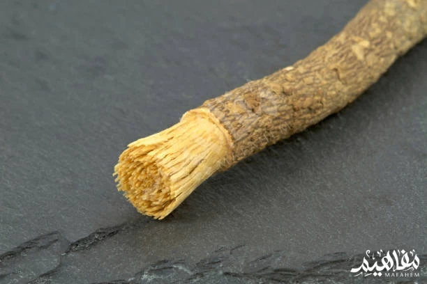 miswak benefits miswak benefits