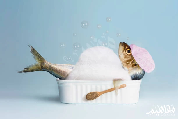 fish and relax fish and relax