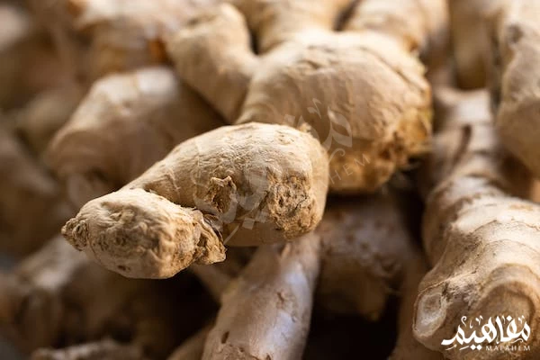 Ginger herb Ginger herb