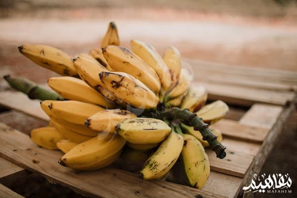 الموز الموز