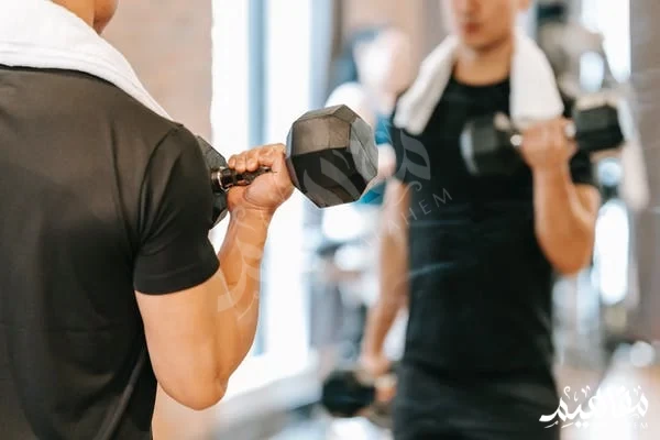 muscle fitness muscle fitness