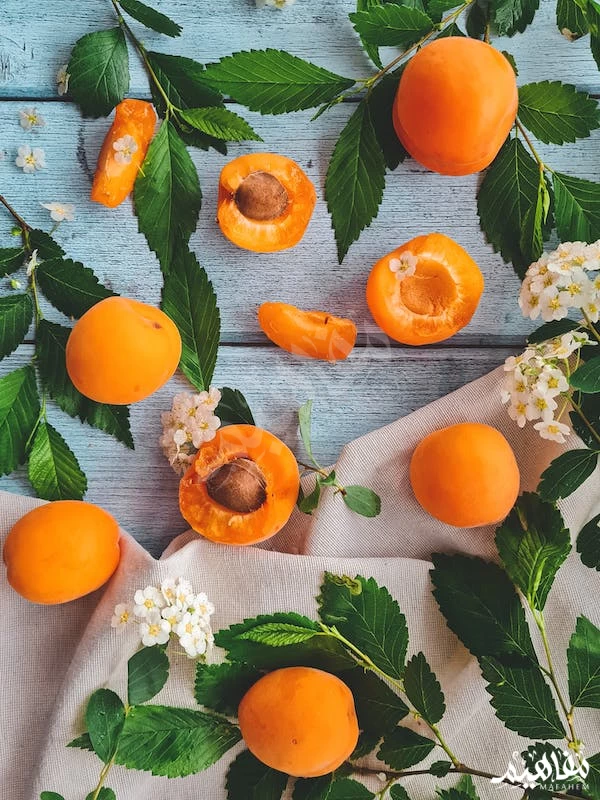 المشمش المشمش