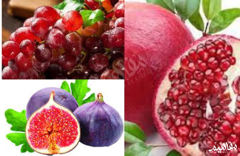 فواكه مضادة للأكسدة