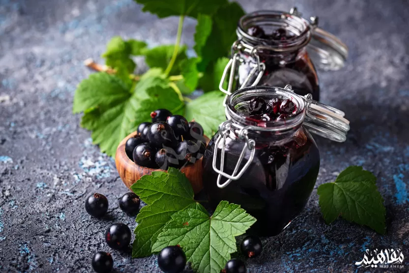 فوائد_الكشمش_الاسود فوائد_الكشمش_الاسود