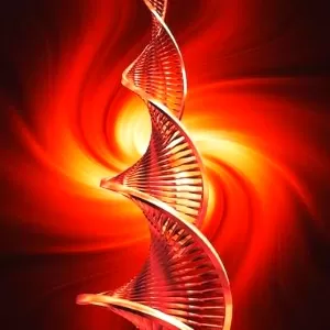 متى يتم عمل تحليل الكروموسومات؟ متى يتم عمل تحليل الكروموسومات؟