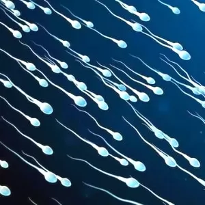 أضرار عدم القذف لمدة طويلة أضرار عدم القذف لمدة طويلة