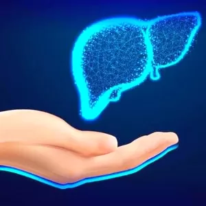 تعرف على أعراض تعب الكبد تعرف على أعراض تعب الكبد
