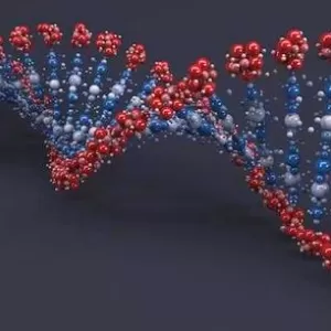 ما الاختبارات الأخرى التي قد أجريها مع تحليل الكروموسومات؟ ما الاختبارات الأخرى التي قد أجريها مع تحليل الكروموسومات؟