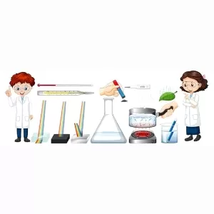 التغيرات الفيزيائية والكيميائية التي تحدث في جسمي التغيرات الفيزيائية والكيميائية التي تحدث في جسمي