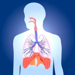 أسباب استرواح الصدر أسباب استرواح الصدر