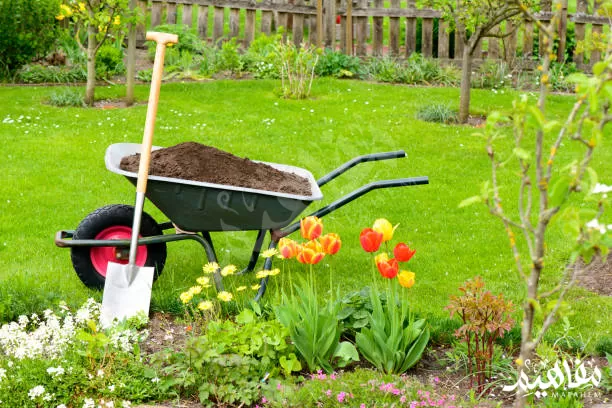 عربة يدوية أدوات الجديقة عربة يدوية أدوات الجديقة