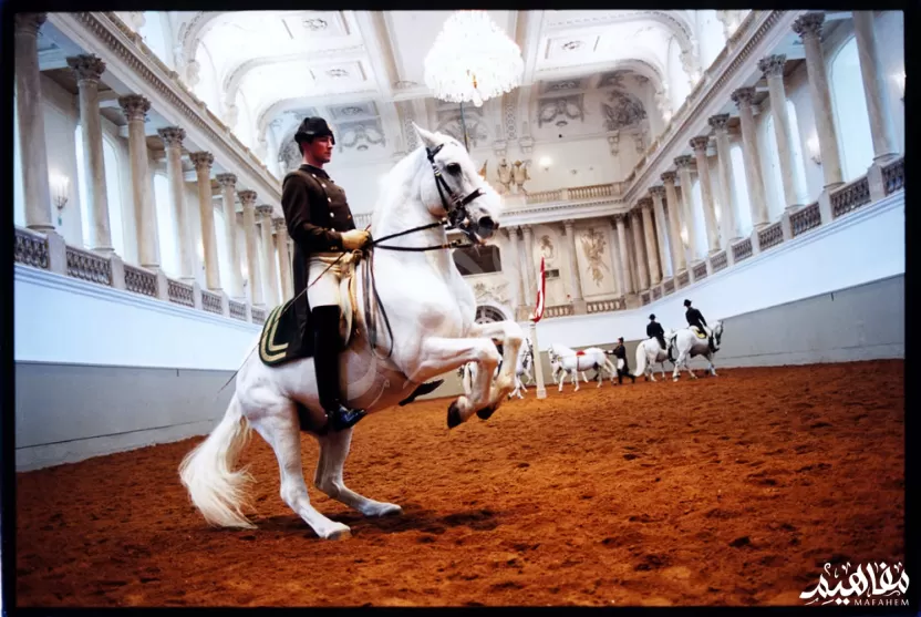 المدرسة الأسبانية للفروسية