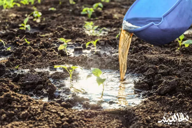 الري السطحي الري السطحي