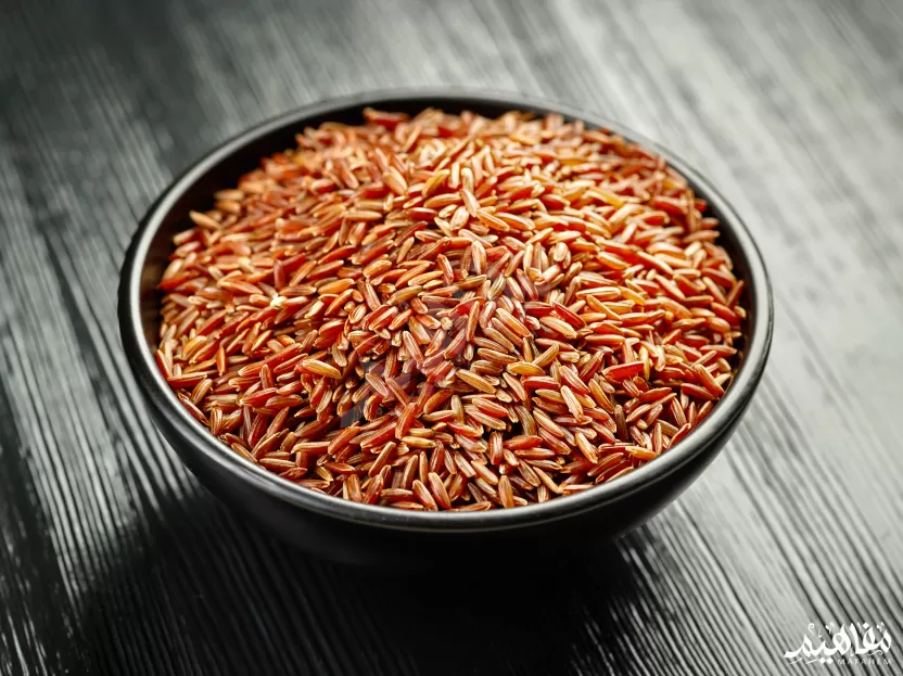 الأرز البقري البري