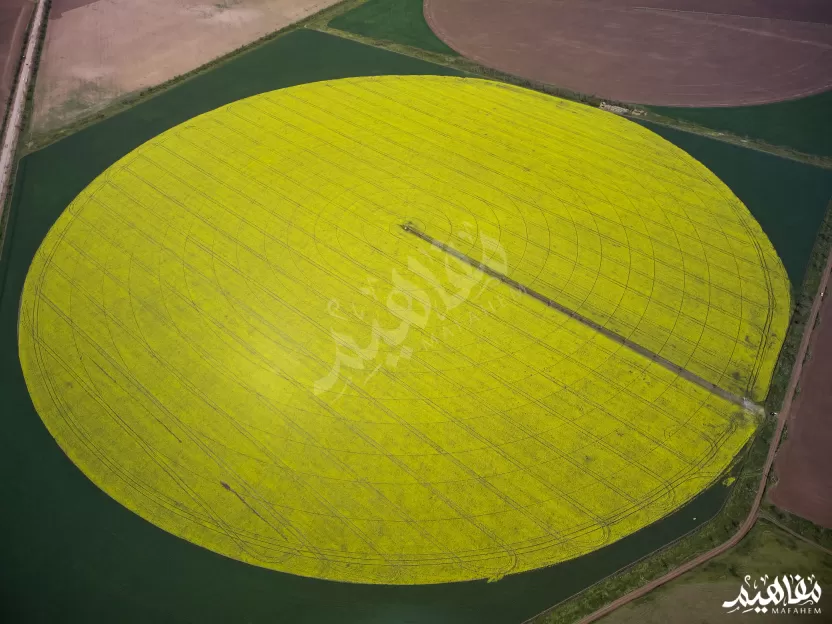 السقي المحوري السقي المحوري