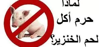 حكم_تناول_لحم_الخنزير