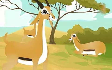 قصص_أطفال_قصيرة_غزال