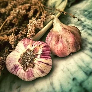 العناصر الغذائية الموجودة في ثوم الذكر  العناصر الغذائية الموجودة في ثوم الذكر