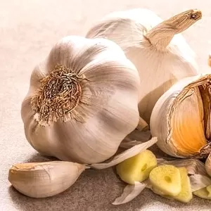 فائدة ثوم الذكر على الريق  فائدة ثوم الذكر على الريق