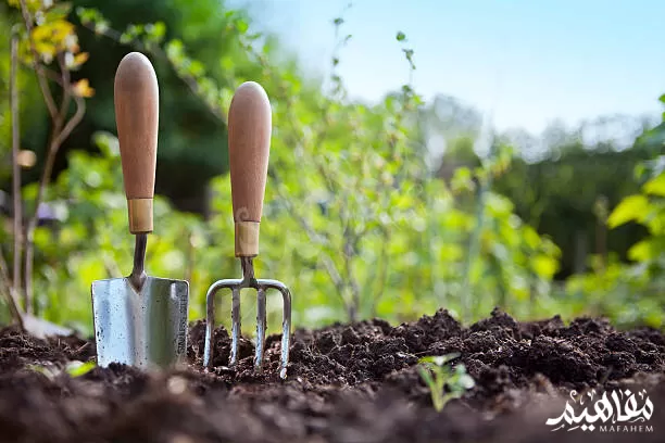 مجرفة مجرفة