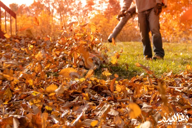 منفاخ منفاخ