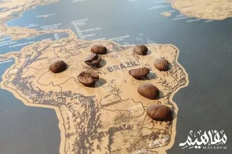 البرازيل وانتاج البن