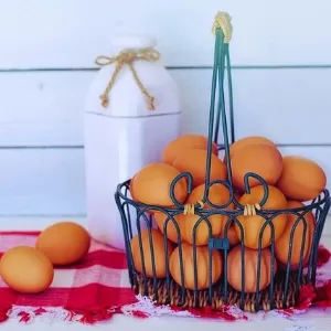 تفسير حلم البيض المدفون في التراب تفسير حلم البيض المدفون في التراب