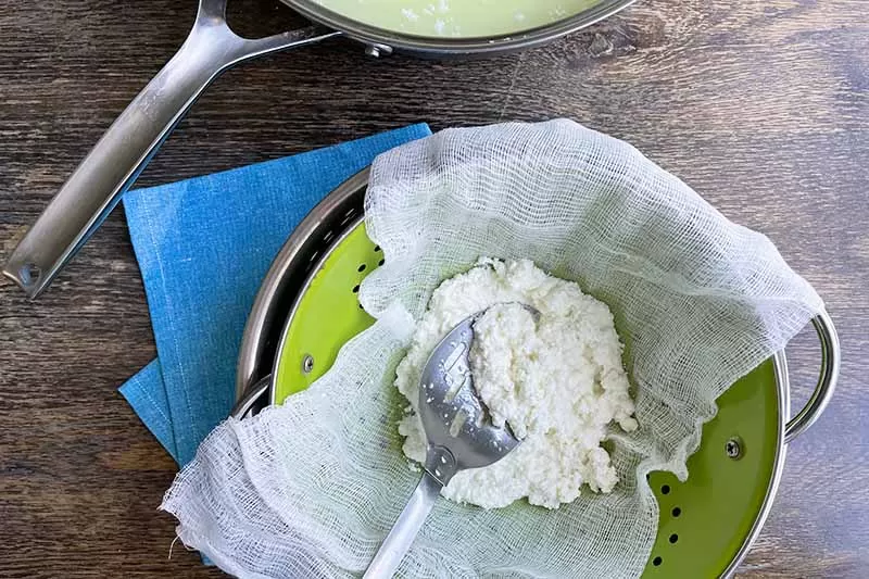 القريش القريش