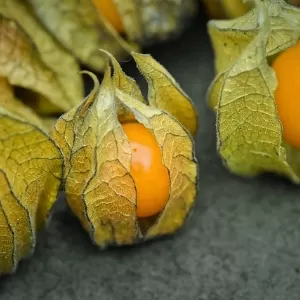 كيف يؤكل الحرنكش؟