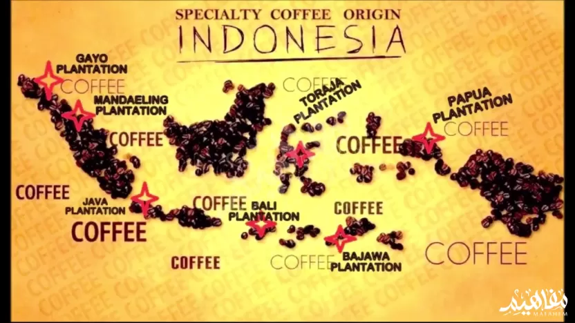 أندونيسيا وانتاج البن