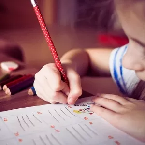 دور طالب العلم في المجتمع دور طالب العلم في المجتمع