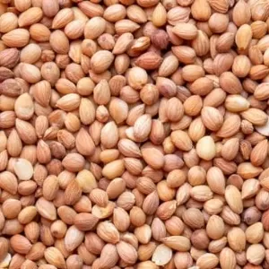 فوائد المحلب للكلى فوائد المحلب للكلى