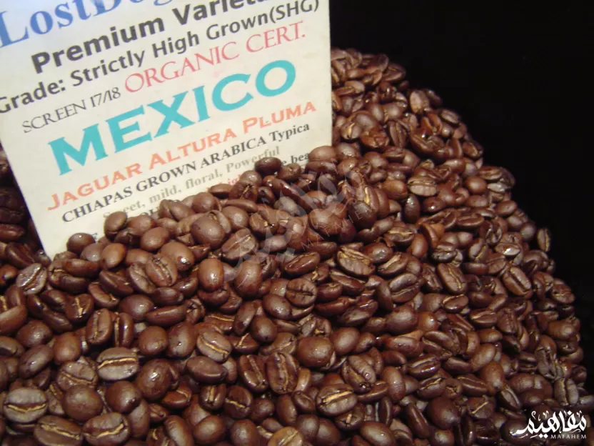 المكسيك وانتاج البن