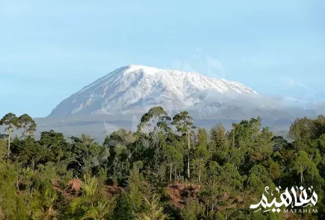 كليمنجارو كليمنجارو