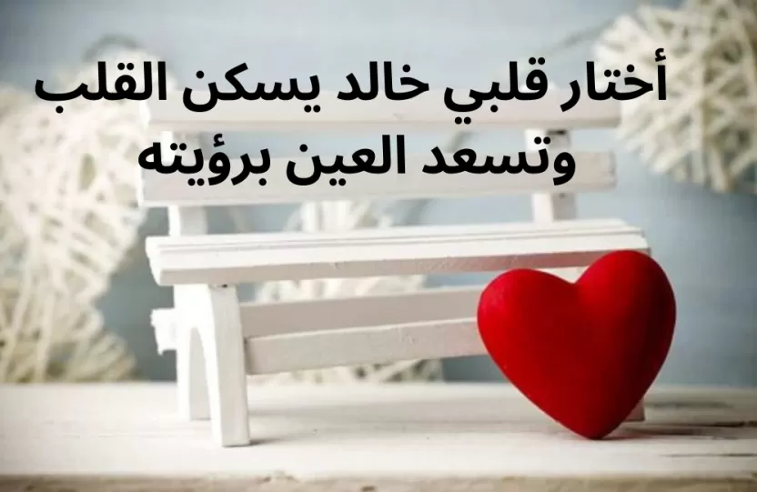 شعر عن اسم خالد توتير شعر عن اسم خالد توتير