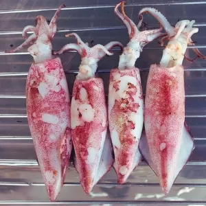 طريقة تنظيف السبيط 