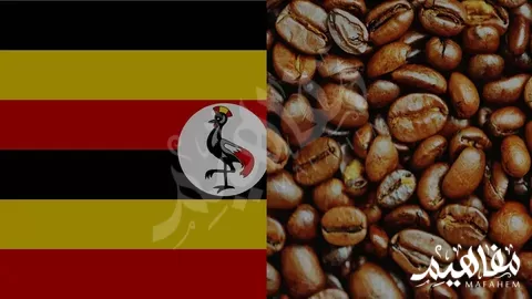 Uganda and coffee production