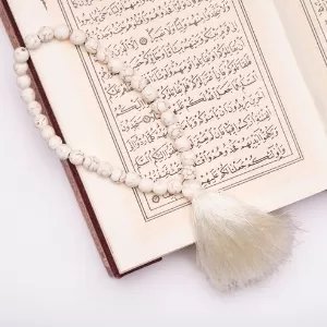 تاريخ اللغة العربية