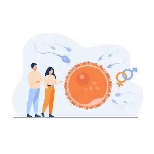 كفارة إتيان المرأة من الدبر في المذاهب الأربعة