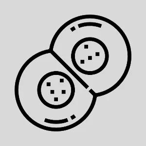 مراحل الانقسام المنصف وعدد الخلايا الناتجة مراحل الانقسام المنصف وعدد الخلايا الناتجة